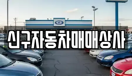 경상남도 밀양시 상남면 중고차 전문 신구자동차매매상사