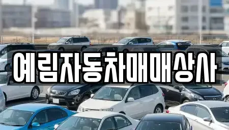 경상남도 밀양시 상남면 중고차 전문 예림자동차매매상사