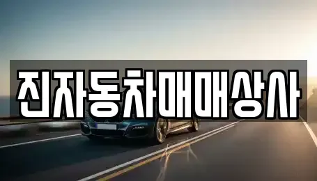 경상남도 밀양시 상남면 중고차 전문 진자동차매매상사
