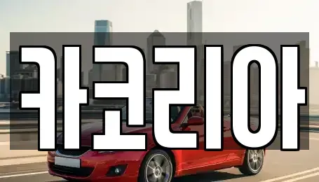 경상남도 밀양시 상남면 중고차 전문 카코리아