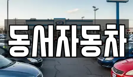 경상남도 사천시 사남면 중고차 전문 동서자동차
