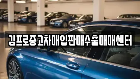 경상남도 창원시 성산구 사파동 중고차매입 전문 김프로중고차매입판매수출매매센터