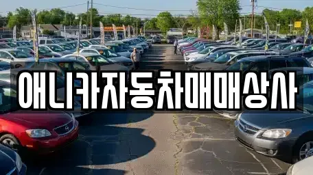 경상북도 구미시 봉곡동 중고차매매 전문 애니카자동차매매상사