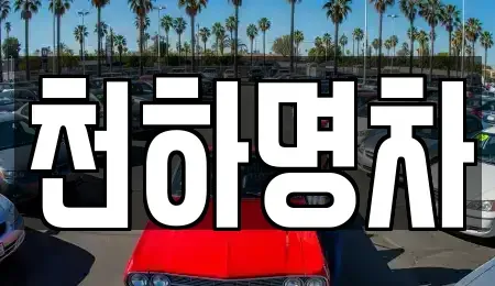 경상북도 구미시 봉곡동 중고차매입 전문 천하명차