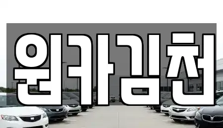 경상북도 김천시 덕곡동 렌트카 전문 원카김천