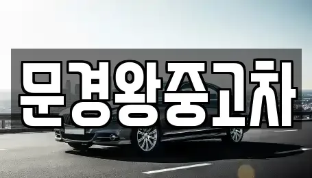 경상북도 문경시 중고차 전문 문경왕중고차