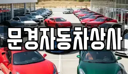 경상북도 문경시 중고차 전문 문경자동차상사