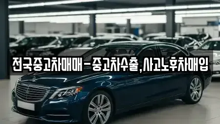 광주 광산구 오선동 중고차매입 전문 전국중고차매매-중고차수출,사고노후차매입