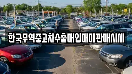 광주 광산구 오선동 중고차매입 전문 한국무역중고차수출매입매매판매시세