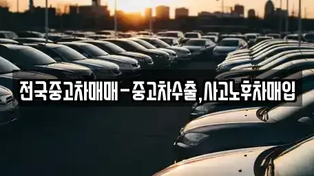 광주 광산구 왕동 중고차매매 전문 전국중고차매매-중고차수출,사고노후차매입