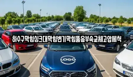 광주광역시 북구 풍향동 중고차 전문 하수구막힘싱크대막힘변기막힘뚫음부속교체고압세척