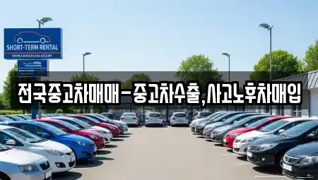 대구 중구 계산동2가 중고차 전문 전국중고차매매-중고차수출,사고노후차매입