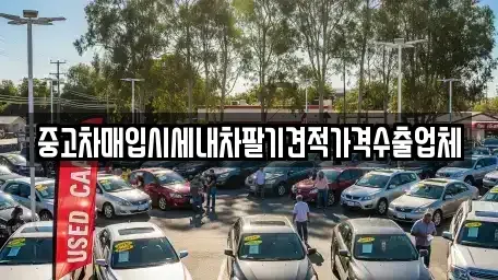 대구 중구 계산동2가 중고차 전문 중고차매입시세내차팔기견적가격수출업체