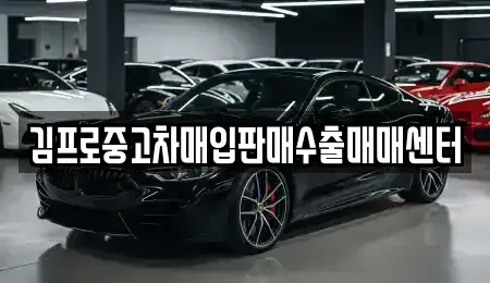 대구 중구 계산동2가 중고차매입 전문 김프로중고차매입판매수출매매센터
