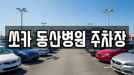 대구 중구 동산동 렌트카 전문 쏘카 동산병원 주차장