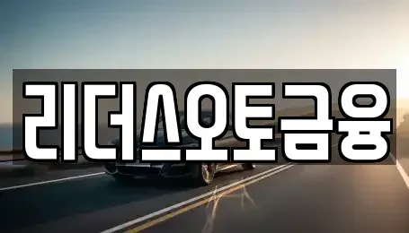 대구 중구 동산동 장기렌트카 전문 리더스오토금융