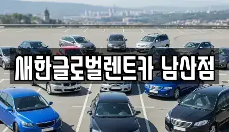 대구 중구 동산동 장기렌트카 전문 새한글로벌렌트카 남산점