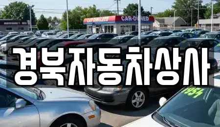 대구 중구 동산동 중고차 전문 경북자동차상사