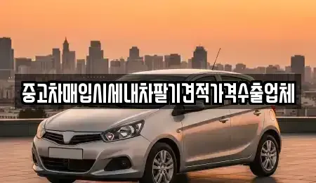 대구 중구 동산동 중고차 전문 중고차매입시세내차팔기견적가격수출업체