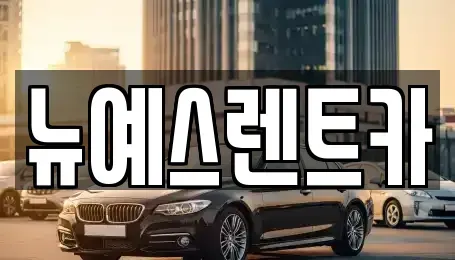 대구 중구 동성로3가 렌트카 전문 뉴예스렌트카