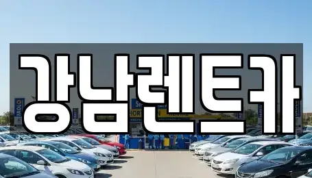 대전 동구 직동 렌트카 전문 강남렌트카