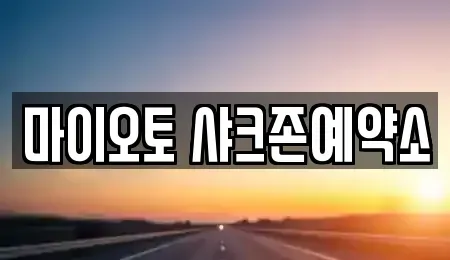 대전 중구 단기렌트카 전문 마이오토 샤크존예약소