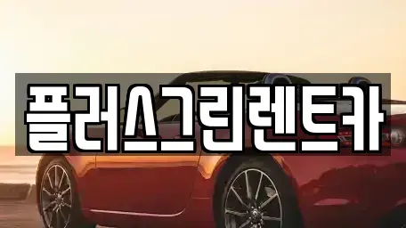 서울 강남구 삼성동 렌트카 전문 플러스그린렌트카