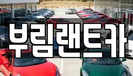 서울 강남구 삼성동 장기렌트카 전문 부림랜트카