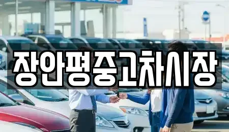 서울 강남구 삼성동 중고차 전문 장안평중고차시장