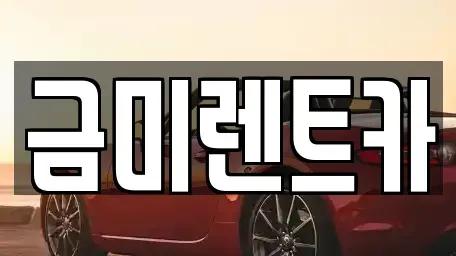 서울 구로구 천왕동 렌트카 전문 금미렌트카