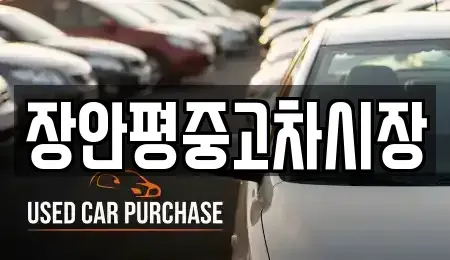 서울 구로구 천왕동 중고차 전문 장안평중고차시장