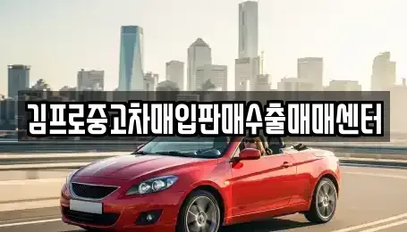 서울 도봉구 쌍문동 중고차매매 전문 김프로중고차매입판매수출매매센터
