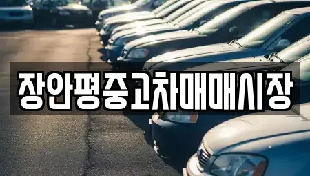 서울 도봉구 쌍문동 중고차매매 전문 장안평중고차매매시장