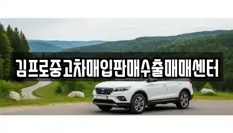 서울 서대문구 연희동 중고차매매 전문 김프로중고차매입판매수출매매센터