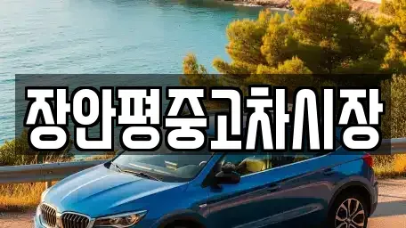서울 서대문구 연희동 중고차매매 전문 장안평중고차시장