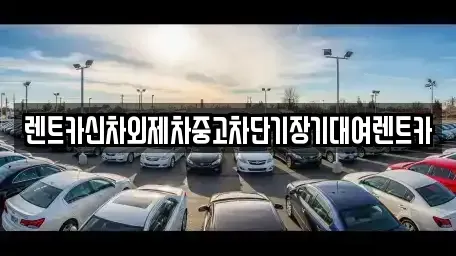 서울 용산구 보광동 장기렌트카 전문 렌트카신차외제차중고차단기장기대여렌트카