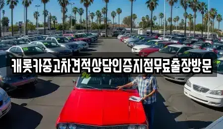 서울 용산구 보광동 중고차 전문 캐롯카중고차견적상담인증지점무료출장방문