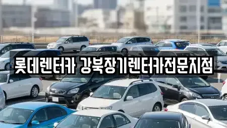 서울 용산구 서계동 장기렌트카 전문 롯데렌터카 강북장기렌터카전문지점