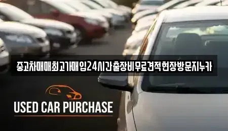 서울 종로구 필운동 중고차매매 전문 중고차매매최고가매입24시간출장비무료견적현장방문지누카