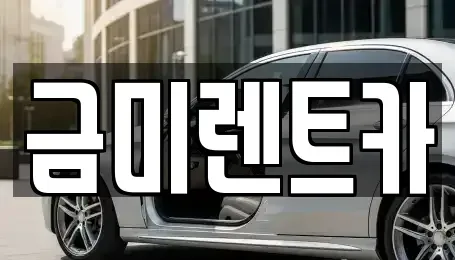 서울 종로구 홍지동 렌트카 전문 금미렌트카