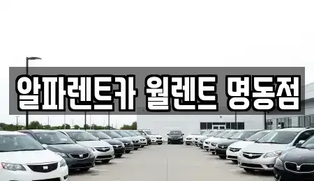 서울 중구 남산동3가 렌트카 전문 알파렌트카 월렌트 명동점