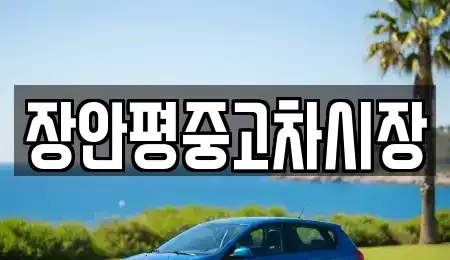 서울 중구 남산동3가 중고차매매 전문 장안평중고차시장