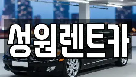 서울 중구 서소문동 렌트카 전문 성원렌트카