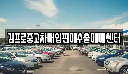 서울 중구 서소문동 중고차매입 전문 김프로중고차매입판매수출매매센터