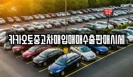 서울 중구 서소문동 중고차매입 전문 카카오토중고차매입매매수출판매시세