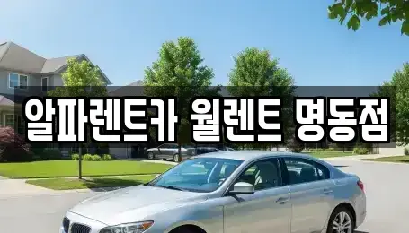 서울 중구 회현동2가 렌트카 전문 알파렌트카 월렌트 명동점