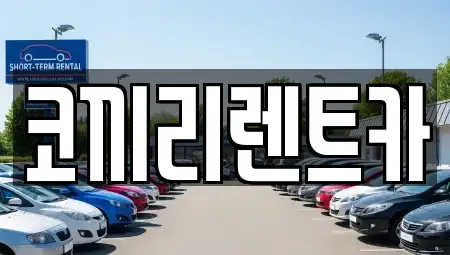 서울 중랑구 면목동 장기렌트카 전문 코끼리렌트카