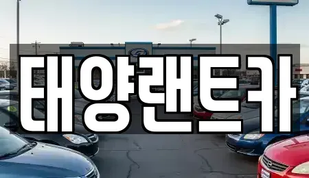 서울특별시 강남구 도곡동 단기렌트카 전문 태양랜트카