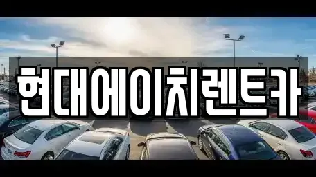 서울특별시 강남구 도곡동 단기렌트카 전문 현대에이치렌트카