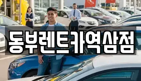 서울특별시 강남구 도곡동 렌트카 전문 동부렌트카역삼점